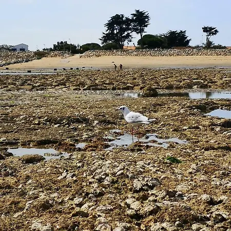 Maison A 300m De La Plage *